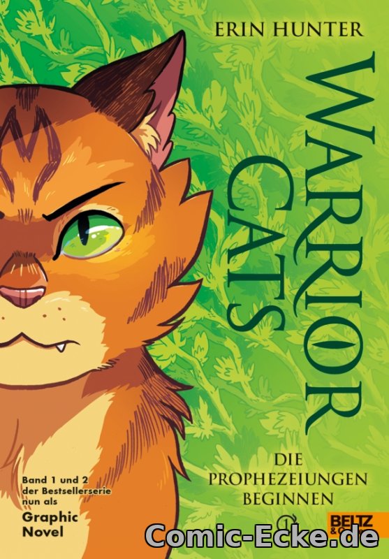 Graphic Novel 1