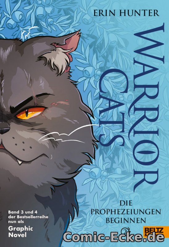 Graphic Novel 2