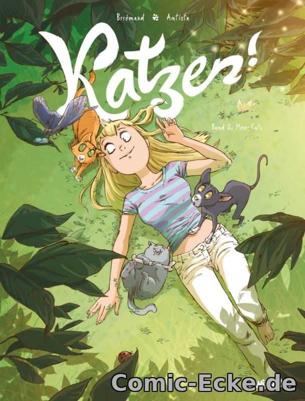 Meer-Katz