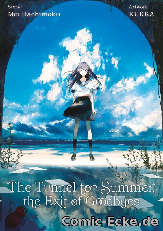 Light Novel